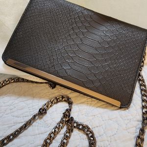 Dressy skinnier crossbody bag.